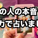 【◯番さん❣️これは永久保存版の神回😳❤️‍🔥】あの人の本音を全力で占いました🔮✨