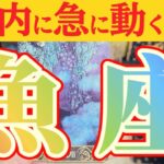 魚座さんへ急に動く事🌈【見れた人限定】『これは良い意味で見る人を選ぶ動きですね😲』#タロット占い