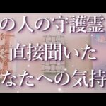 あの人の守護霊に聞いたあなたへの気持ち🐼占い💖恋愛・片思い・復縁・複雑恋愛・好きな人・疎遠・タロット・オラクルカード