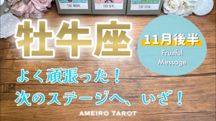 【牡牛座11月後半】ここまでよく頑張った‼️次のステージで夢を叶えていこう🕊️🍀これまでの自分を労って💖