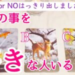 【⚠️YES or NO❗️】今わたしの事が好きな人いますか？タロット、タロット占い、恋愛