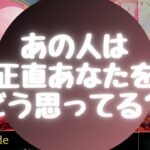 🥺あの人は正直あなたをどう思ってる❓💦【🔮ルノルマン＆タロット＆オラクルカードリーディング🔮】（忖度なし）
