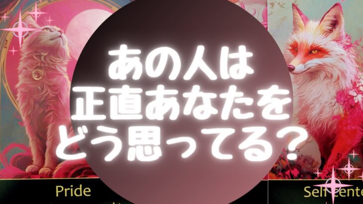 🥺あの人は正直あなたをどう思ってる❓💦【🔮ルノルマン&タロット&オラクルカードリーディング🔮】(忖度なし)