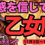 【乙女座】♍️2025年11月3日の週♍️新しく始める時。決断してスタートする。ご自身の直観を信じて。おとめ座。タロットリーディング