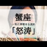 【蟹座】今苦しい人こそ見てほしい動画