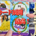 射手座さん見て！12月前半もまだまだ幸運の助っ人がドンと居座っているよ💐💐【12月前半運勢】