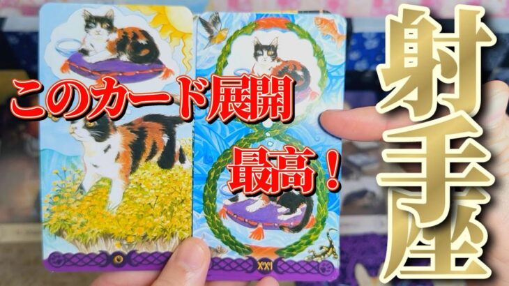 射手座さん見て！12月前半もまだまだ幸運の助っ人がドンと居座っているよ💐💐【12月前半運勢】