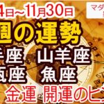 【今週の運勢11月24日から30日】射手座 山羊座 水瓶座 魚座