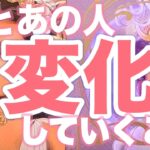 【朗報‼️相手の気持ちに変化が🦋】片思い複雑恋愛タロットカードリーディング🔮個人鑑定級占い✨