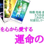 🌹恋愛タロット占い🌹もう出会ってる？これから出会う？あなたを心から愛する運命の人 お相手様の特徴 どんな恋になるか あなたが手に入れるもの 出会いや進展の時期 イニシャル 星座etc..