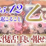 【おとめ座さん⛄️】12月あなたに起こること❄️心配は無用‼️問題は解決へ‼️確かな力で成功を掴む・安定と強い基盤👏✨共に育んでいく深い愛💫【タロット・ルノルマン・オラクルカード占い】