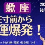 【蠍座】2025年11月後半のさそり座の運勢「破産寸前から金運爆発！」