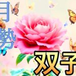 【双子座】11月の運勢❤️神回！！ちょっとこれは最高すぎる😳大どんでん返しのミラクル展開❤️‍🔥夢とロマンスが大復活🌈ハッピーソウルフル🌈マンスリー　2025年　タロット占い