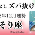 さそり座12月は現実が動く！一気に進む。覚悟してください❤️2025年12月運勢仕事恋愛人間関係【癒しのタロット個人鑑定級】