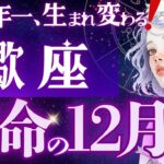 【蠍座】【別格すぎる】約4ヶ月間のクライマックス🎬脱皮直前の貴方へ、高次元の神託メッセージ《12月運勢》【星読みタロット】