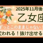 【乙女座】11月後半★うれしい気持ちが増える！猫のように！束縛しない人間関係へ！オラクルカードリーディング