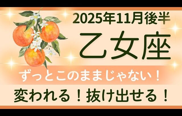 【乙女座】11月後半★うれしい気持ちが増える！猫のように！束縛しない人間関係へ！オラクルカードリーディング
