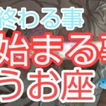 【うお座♓️】終わる事🚩始まる事🌈破壊が開ける大きな豊かさの扉‼️#占い #スピリチュアル #金運#人生相談 #オラクルカード #カードリーディング #個人鑑定級#うお座#魚座#開運#星座占い
