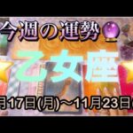 乙女座♍️さん⭐️11月17日(月)〜11月23日(日)🔮78枚中1番良いカードが‼️何かを達成しそう🌈
