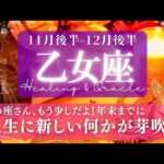 【乙女座】11月後半-12月後半／停滞の終わりと春の訪れ！軽やかに脱皮する！✨🕊🌕【タロット】【運勢】【占い】【おとめ座】