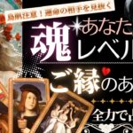 超神神神回確定【恋愛🩷結婚】あなたとガチご縁のある人🩷魂レベルで見ました【タロット有料鑑定級】イニシャル星座まで