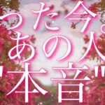 【恋愛】たった今。あの人の”本音”😖🩷🌀タロット🔮リーディング