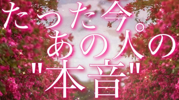 【恋愛】たった今。あの人の”本音”😖🩷🌀タロット🔮リーディング