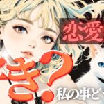 LOVEズバリ結果✨❤️正直、恋愛的に私のこと好き？🥹❤️‍🔥深掘りリーディング【忖度一切なし♦︎有料鑑定級♦︎辛口あり】