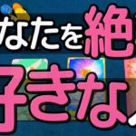 【ガチ両思い確実⁉️】今！あなたを絶対好きな人💖何人いる？その中にあなたの好きな人がいます❗️星座・イニシャル・二人の未来。恋愛タロット