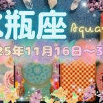 水瓶座★2025/11/16～30★精神的に追い込まれているようなギリギリな状態から抜け出して、新しい環境に進む時