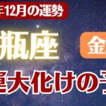 【水瓶座】2025年12月 みずがめ座の運勢 金運「金運大化けの予感」