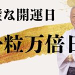 【11月24日(月)今日はどう転んでも開運できちゃう日！！！＃風水＃コパ#開運＃日本の風水＃金運UP＃開運日