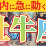 牡牛座さんへ急に動く事🌈【見れた人限定】『嘘みたいに皆が言いなりになってくれる😲』#タロット占い