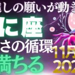 【蟹座♋金運】6年の試練が終わり豊かさ到来✨11月後期に起こる豊かさの予兆【12星座】