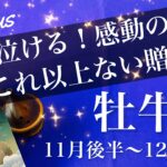おうし座♉️2025年11月後半〜12月前半🌝 手応えが段違い！もう触れるレベル、沁み入る喜び、笑顔と嬉し泣き
