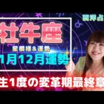 ♉️【牡牛座さん11月12月の運勢】いよいよ始まる変革期の最終章🚀年末にかけて運気上昇へ⤴️🎁💕