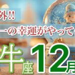 【牡牛座 ⛄️12月】予想外のご褒美が続々届く🎁［運勢リーディング＆タロット＆オラクル］