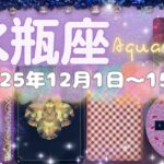 水瓶座★2025/12/1～15★まさに、激変！どんなに頑張ってもうまくいかなかった環境から脱して、この人生の中でしたいことをきちんと行うために何か大きなことが終わっていく！大きな変化の時