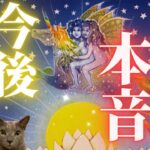 🚨神の手入る人います😍宇宙の計らいが凄い現実を巻き起こす‼️🚀❤️あの人のあなたへの本音&今後どうしたいと思ってる⁉️⭐️✨［占い/タロット/恋愛成就/オラクル/ルノルマン/チャネリング/統合調和］