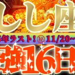 獅子座さん見て！身に覚えの無い金脈に大当り😲な超最強の16日間が来るよ👑【11月後半運勢】♾️天一天上♾️
