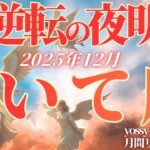 12月の運勢💐いて座　安心と祝福の年末‼️よく頑張った✨労いと2026年へのエネルギー補充月間❗️(お金・仕事・人間関係)