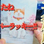 天秤座さん見て！最近凄過ぎますね💐💐【12月前半運勢】