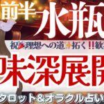 【水瓶座】意味深展開🫣きた〜‼️シンクロと大天使さんが届けるSP回💌✨【仕事運/対人運/家庭運/恋愛運/全体運】12月前半 タロット占い