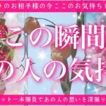 【最新✨恋愛💖】今この瞬間のあの人のあなた様へのお気持ち🔮🦋タロット本気の一本勝負でお相手様の気持ちを深くリーディングしてゆきます✨