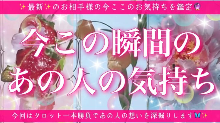 【最新✨恋愛💖】今この瞬間のあの人のあなた様へのお気持ち🔮🦋タロット本気の一本勝負でお相手様の気持ちを深くリーディングしてゆきます✨