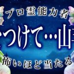 【山羊座】11/15から始まる”まさかの変化”とは…◯◯を大切にして！