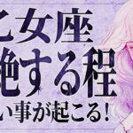 「11月になったらみて‼️」嬉しすぎて涙が溢れる…😭💕乙女座さんに11月後半から訪れる想像以上の展開【運勢タロット占い】