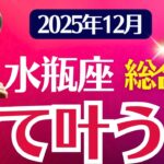 【総合運】水瓶座：2025年12月みずがめ座は「全て叶う日」