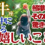 【牡牛座】【今年中に訪れる嬉しいこと】🌈あなたがフォーカスすることにかなりの大きな援助が入ります🌟新しい始まりはまだまだこんなものじゃないのです🌈11月後半