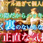 【🦋リアル過ぎて個人鑑定級💞】今、この際だからハッキリしてもらいます！全く裏のないあなたへのど正直な気持ち🦋